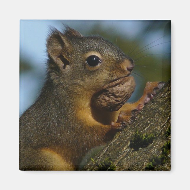 A Chipmunks statueringar Magnet (Framsidan)