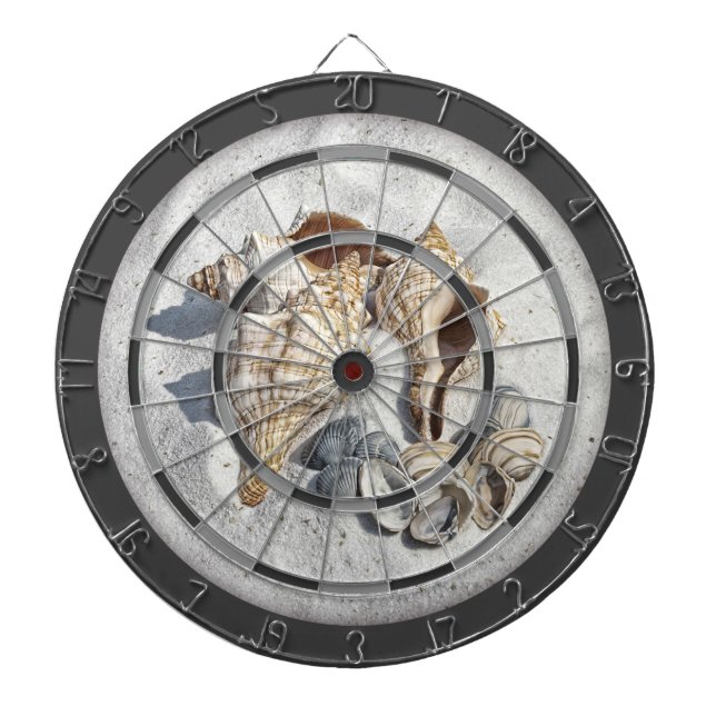 A Collection of Seashells on Sand Darttavla (Framsidan)