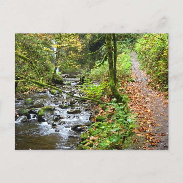 A COOLA BÄCK VYKORT (Framsida)