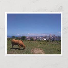 A Coruna, Galicien (Spanien) Vykort