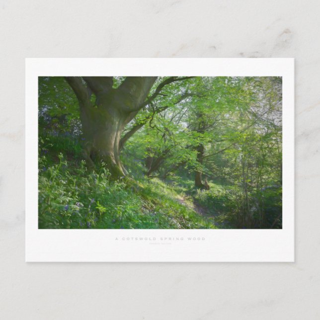 A Cotswold Vår Wood Vykort (Framsida)