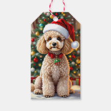 A Cute Festive Poodle Christmas  