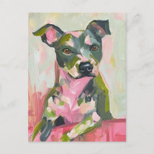 A Cute Hund Grått Pittie Mix Vykort