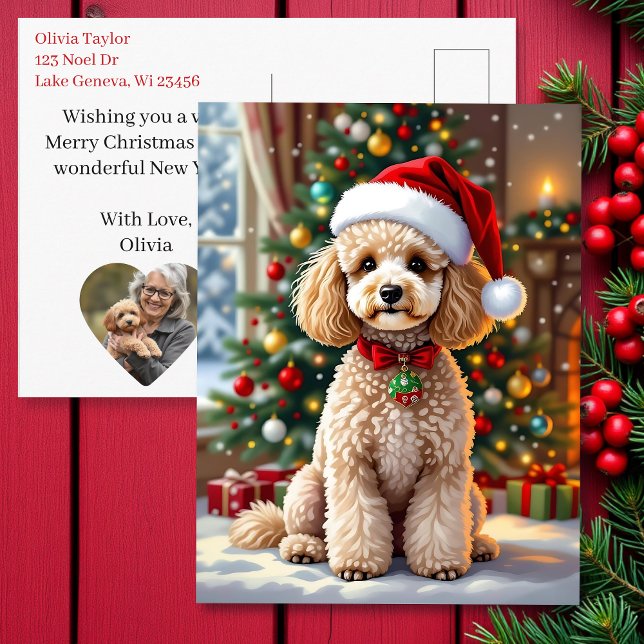 A Cute Poodle Christmas Personalized Helg Vykort (Skapare uppladdad)