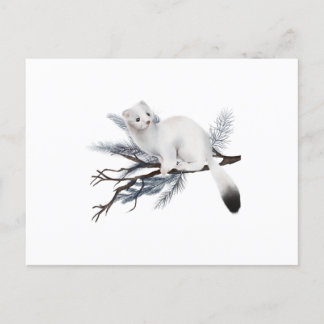 A cute winter weasel perched on a branch vykort