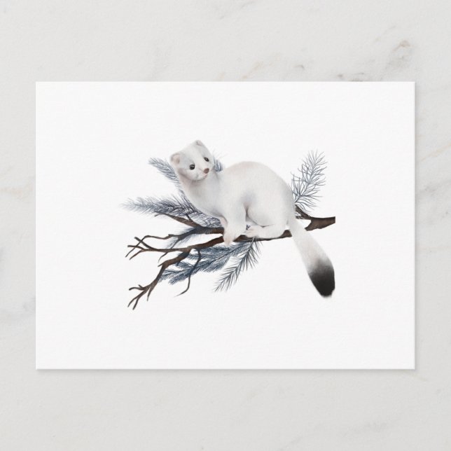 A cute winter weasel perched on a branch vykort (Framsida)