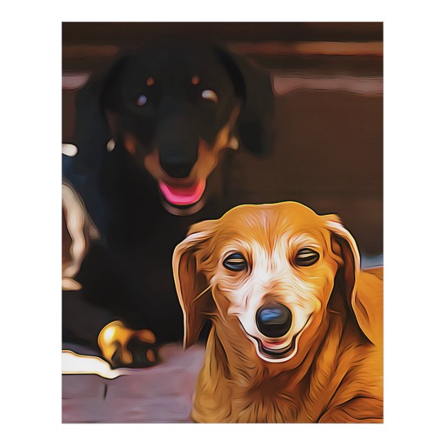 A Dachshund Hot During The Summer Heatwave Poster (Framsidan)