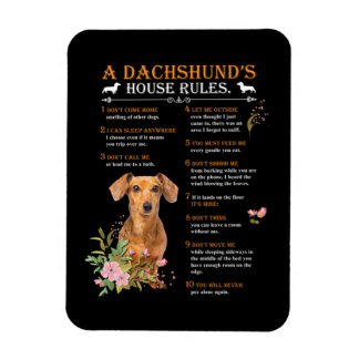 A Dachshunds House Regler Magnet