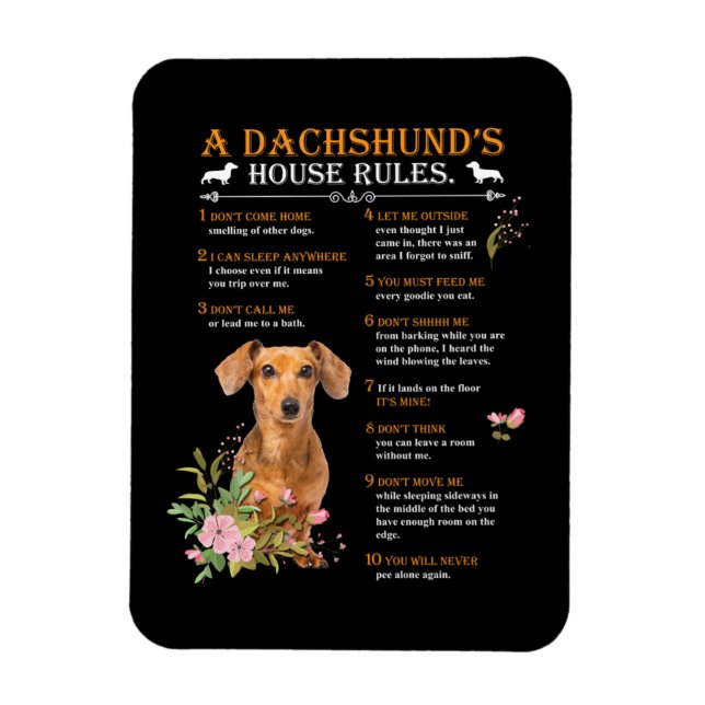 A Dachshunds House Regler Magnet (Vertikal)