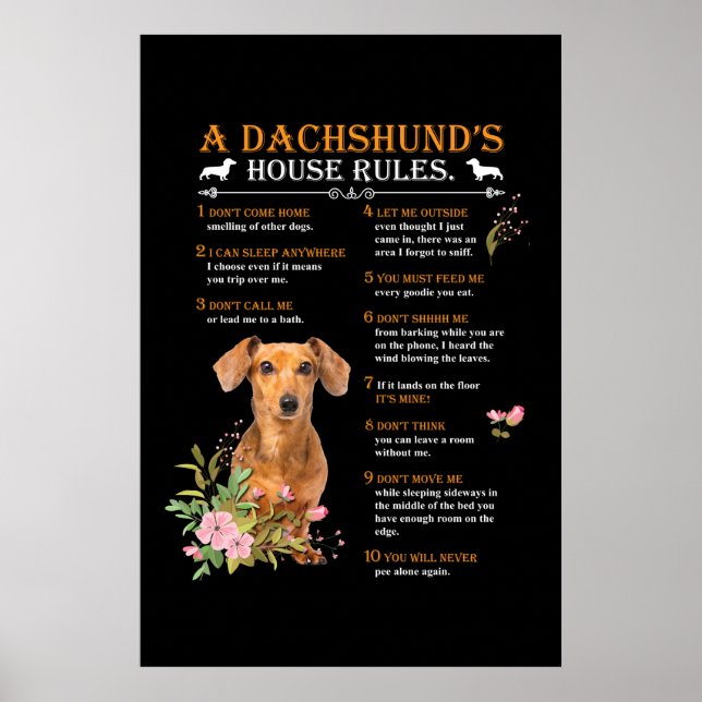 A Dachshunds House Regler Poster (Framsidan)