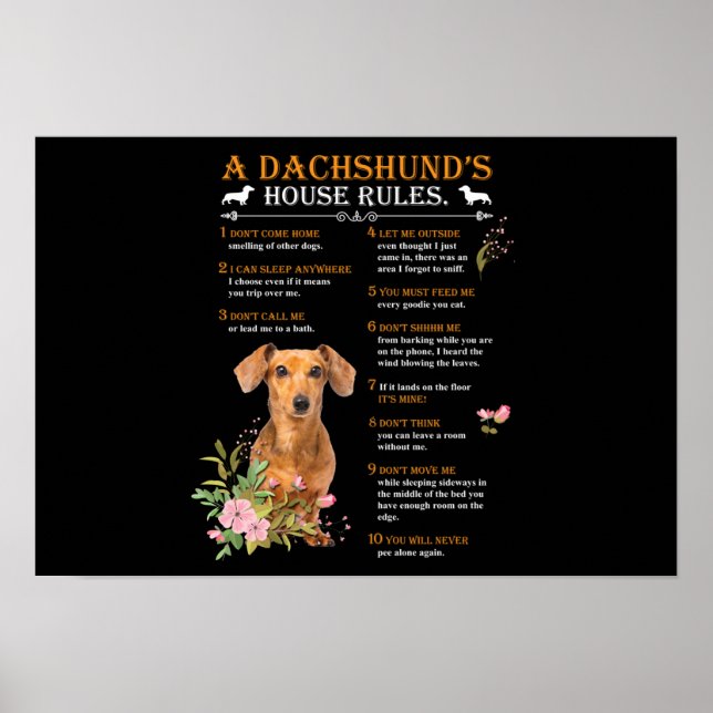A Dachshunds House Regler Poster (Framsidan)