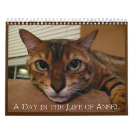 A Day in the Life of Ansel Calendar - 21 month Kalender