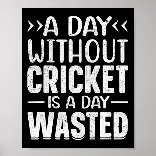 A Day Without Cricket Funny Cricket Player Cricket Poster (Framsidan)