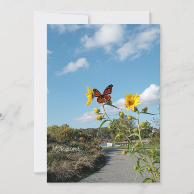 A Dazzling Spectacle Inbjudningar (Framsida)