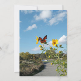 A Dazzling Spectacle Inbjudningar