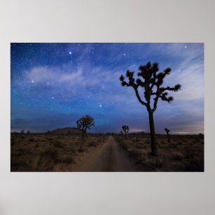 A Desert Road och Joshua Träd på natten Poster