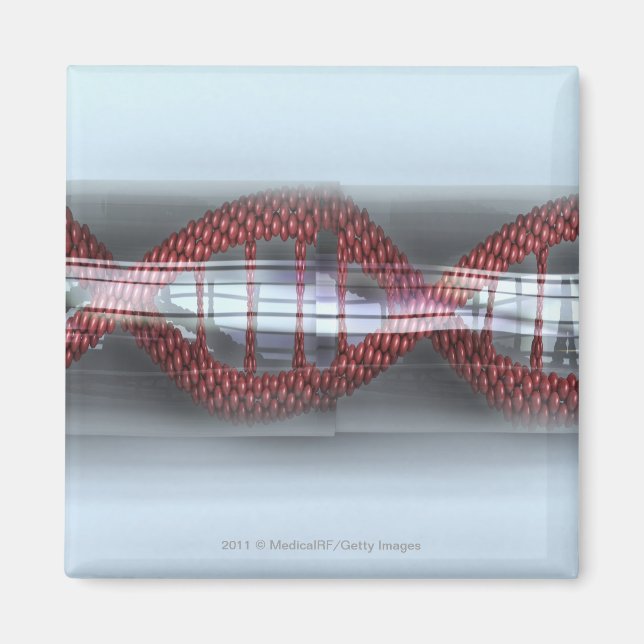 A DNA- sträng i kapsel Magnet (Framsidan)