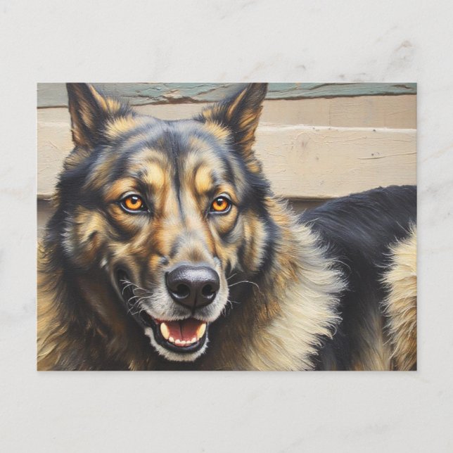 A domestic dog looks trustingly into the camera. vykort (Framsida)