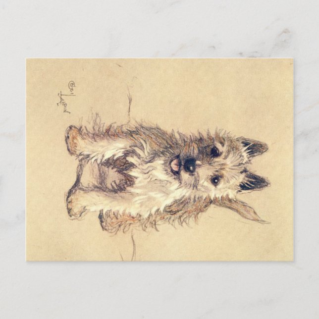 A Dozen Hundar eller So Cecil Aldin-vykort Vykort (Framsida)