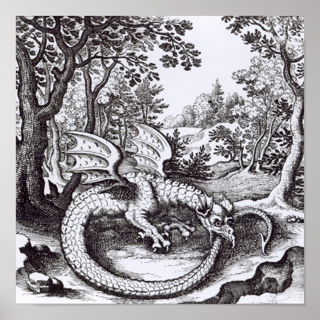 A Dragon i skogen Poster (Framsidan)