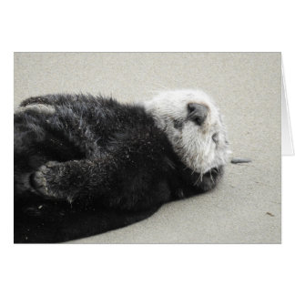 A dreaming sea otter hälsningskort
