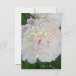 A Dreamy  Peony Anteckningskort