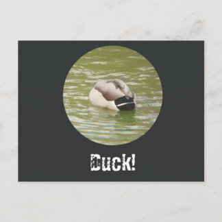 A Ducking Duck Postcard Helg Vykort
