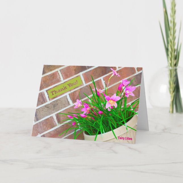 A Fairy Lily Tackkort (Framsida)