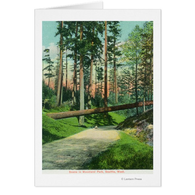 A Fallen Träd vid Woodland Park Scene Hälsningskort (Framsidan)
