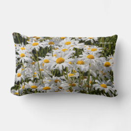 A Fält i Oxeye-Daisy Lumbarkudde