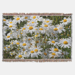A Fält i Oxeye-Daisy på en sundare sommardag Mysfilt