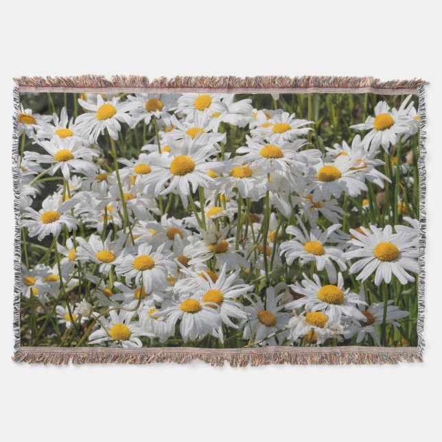 A Fält i Oxeye-Daisy på en sundare sommardag Mysfilt (Framsidan)