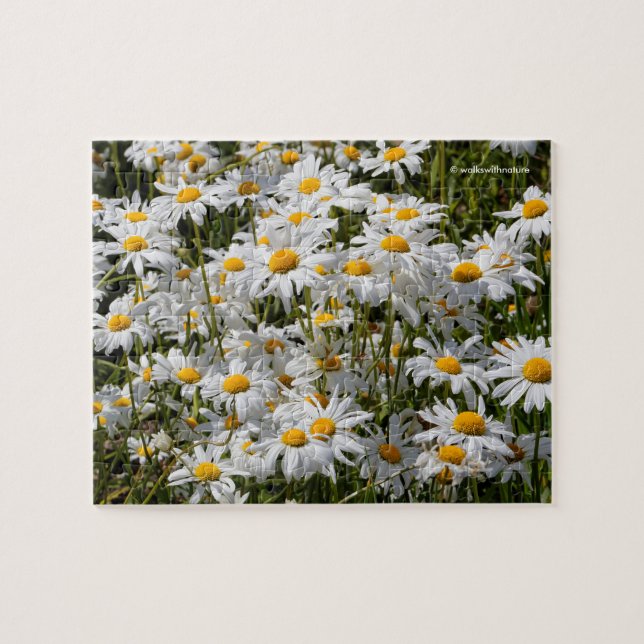 A Fält i Oxeye-Daisy Pussel (Horisontell)