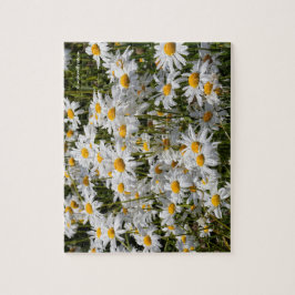 A Fält i Oxeye-Daisy Pussel