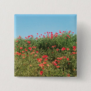 A Fält i Poppy Flowers Knapp