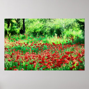 A Fält i Red Wildblomma Ligcape Art Poster