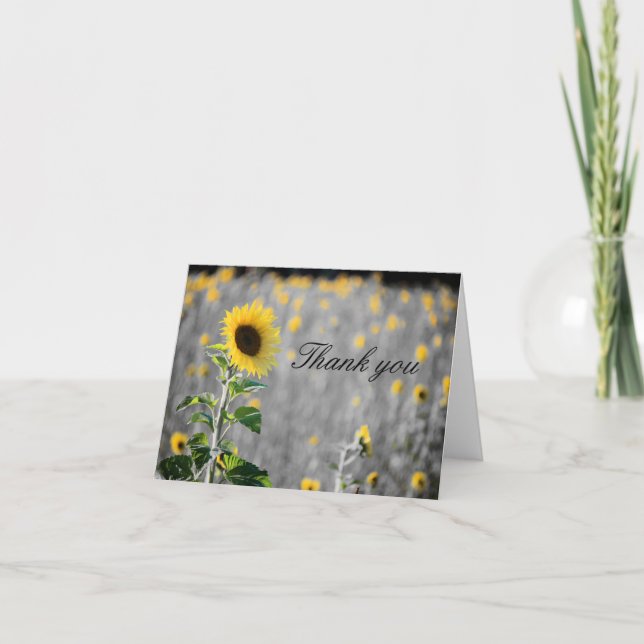 A Fält i Solblommor i svartvitt Tack Kort (Framsida)