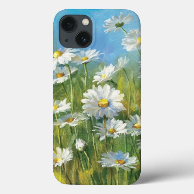 A Fält i Vita Daisy (Baksida)