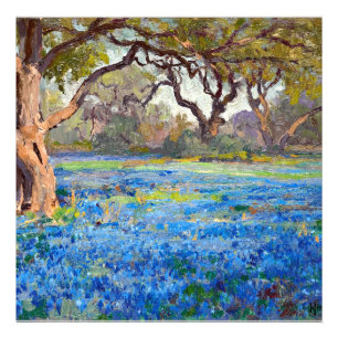 A Fält of Bluebonnets at Alamo Heights, 1919, Fototryck