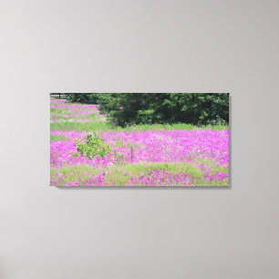 A fält om vilda blommor från rosa vår canvastryck