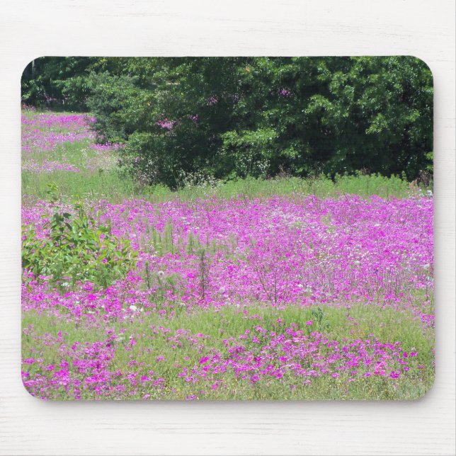 A fält om vilda blommor från rosa vår musmatta (Framsidan)