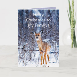 A FAMILY CHRISTMAS CARD TACK KORT