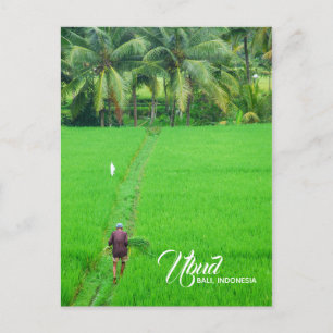 A Farmer i Ris i Ubud, Bali, Indonesien Meddelande Vykort