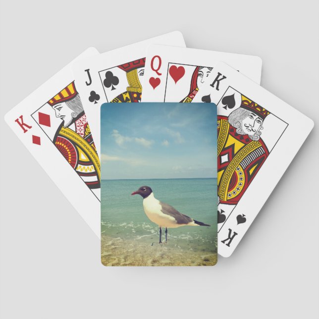 A FISKMÅS CASINOKORT (Baksidan)