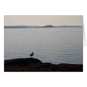 A Fiskmås-drömmar Hälsningskort