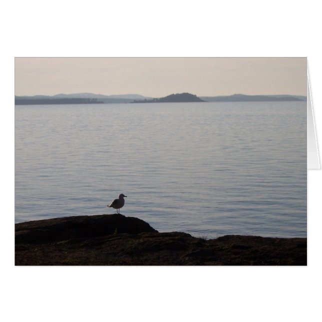 A Fiskmås-drömmar Hälsningskort (Framsidan Horizontal)