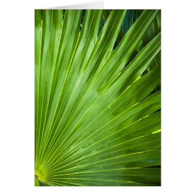 A FLÄKT i GRÖNTEN OBS Kort (Framsidan)