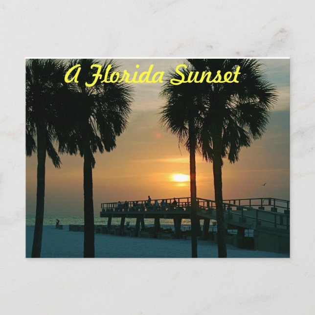 A Florida Sunset Vykort (Framsida)