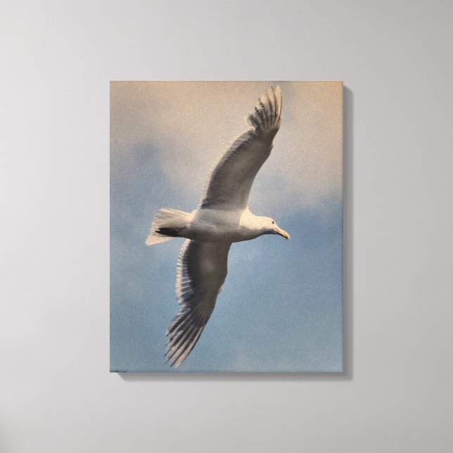A flying seagull on Stretched Canvas Print (Framsida)