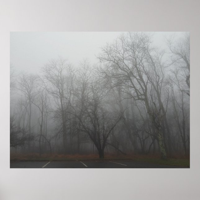 A foggy day on the Skyline Drive in Virginia Poster (Framsidan)